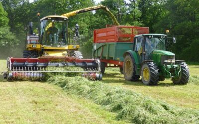 PÉRIODE D’ENSILAGE