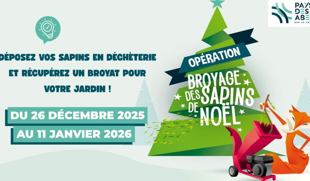 Opération sapin malin