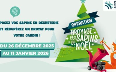 Opération sapin malin