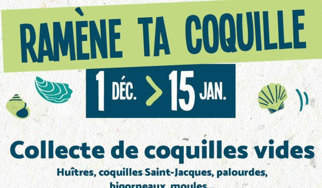 Collecte de coquilles vides