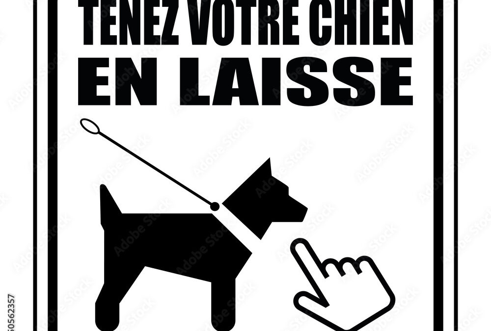 Rappel : respect des règles