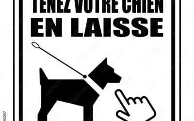 Rappel : respect des règles